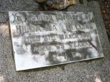 image of grave number 895333